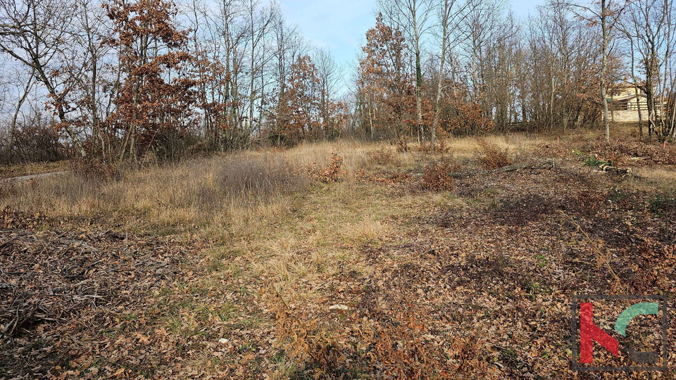 Istra, Gračišće, kuća za odmor sa bazenom u izgradnji, okućnica 1000m2, #prodaja