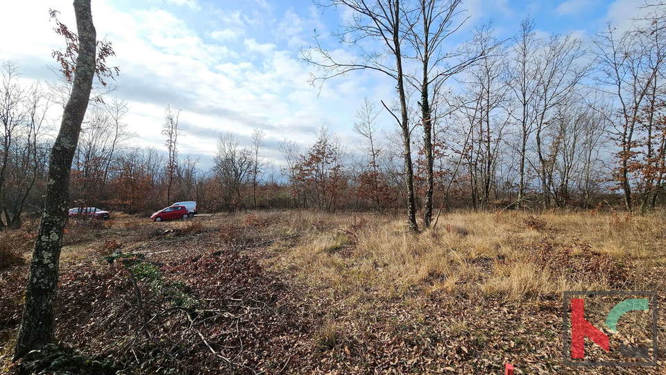 Istra, Gračišće, kuća za odmor sa bazenom u izgradnji, okućnica 1000m2, #prodaja