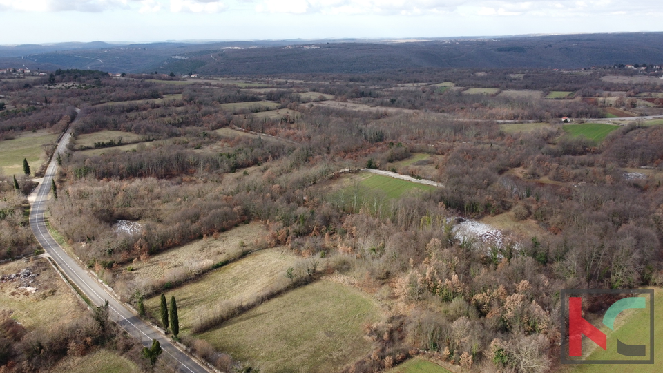 Istrien, Žminj, Baugrundstück 1754 m2 in regelmäßiger Form #Verkauf