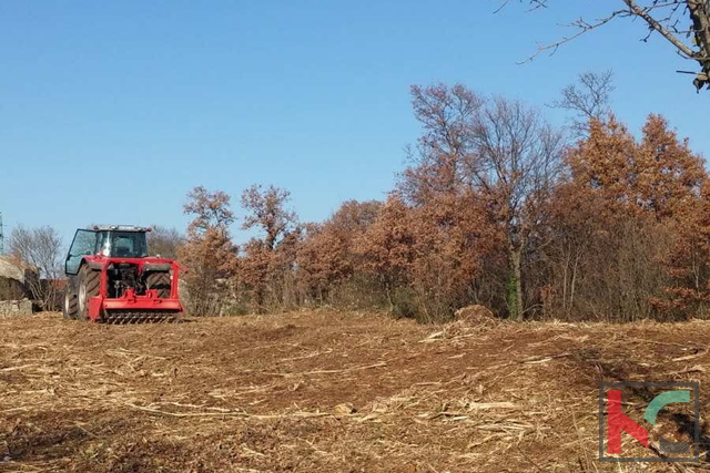 Istria, comune di Svetvinčenat, terreno edificabile 1920m2 #vendita