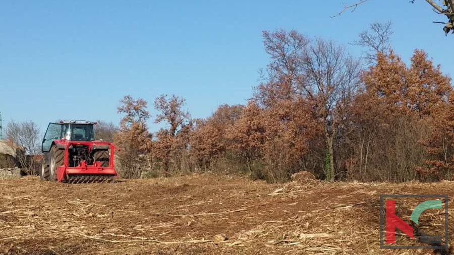 Istria, comune di Svetvinčenat, terreno edificabile 1920m2 #vendita