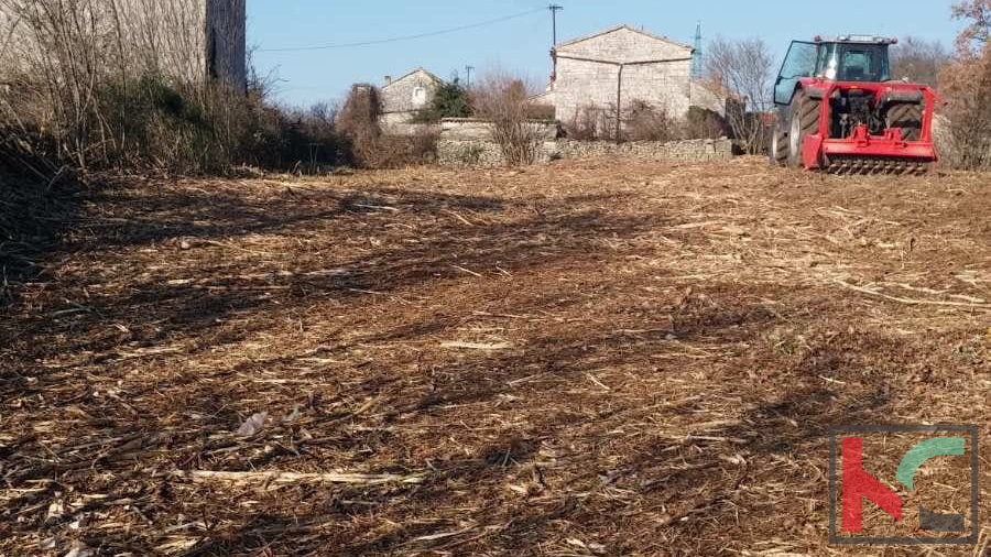 Istra, Općina Svetvinčenat, građevinsko zemljište 1920m2 #prodaja