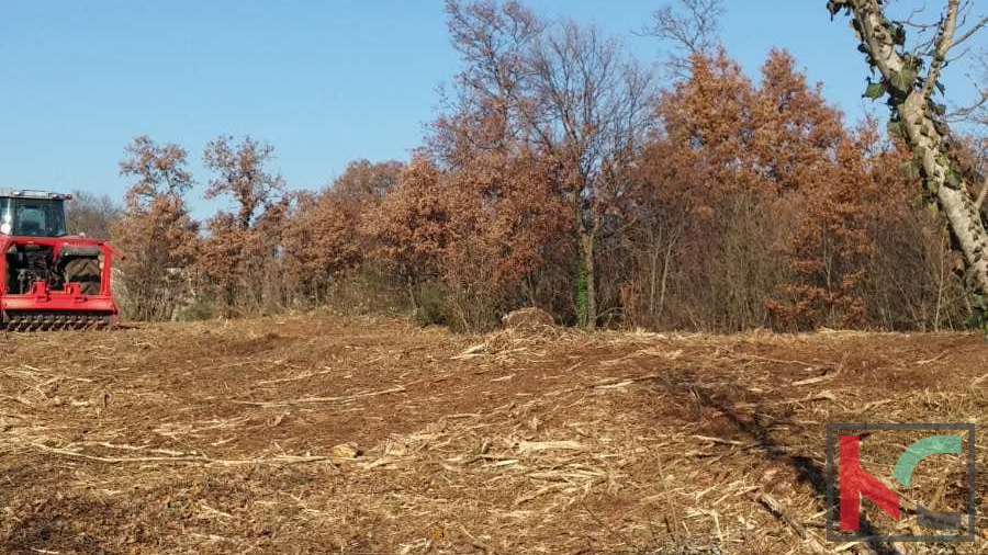 Istra, Občina Svetvinčenat, gradbeno zemljišče 1920m2 #prodaja