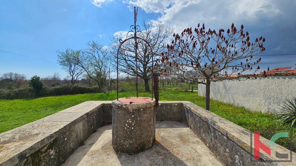 Istria, Barban, old Istrian stone house with barn on a large garden, #sale