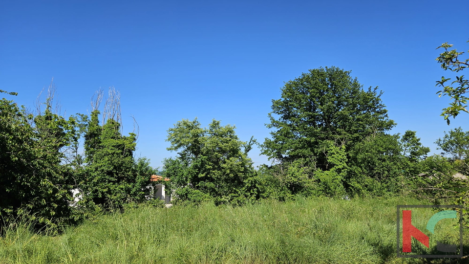 Barban, stara hiša za obnovo z velikim vrtom 1784m2 #prodaja