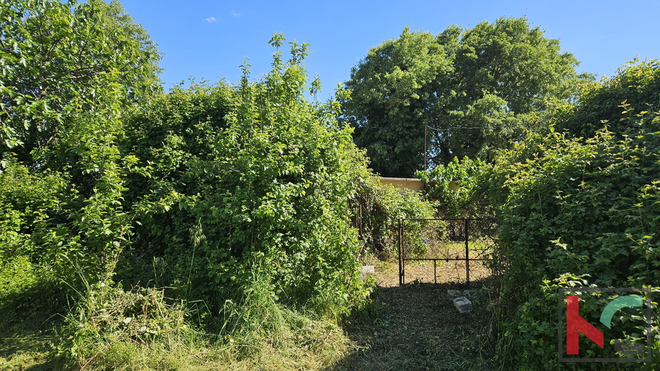 Barban, vecchia casa da ristrutturare con ampio giardino di 1784m2 #vendita