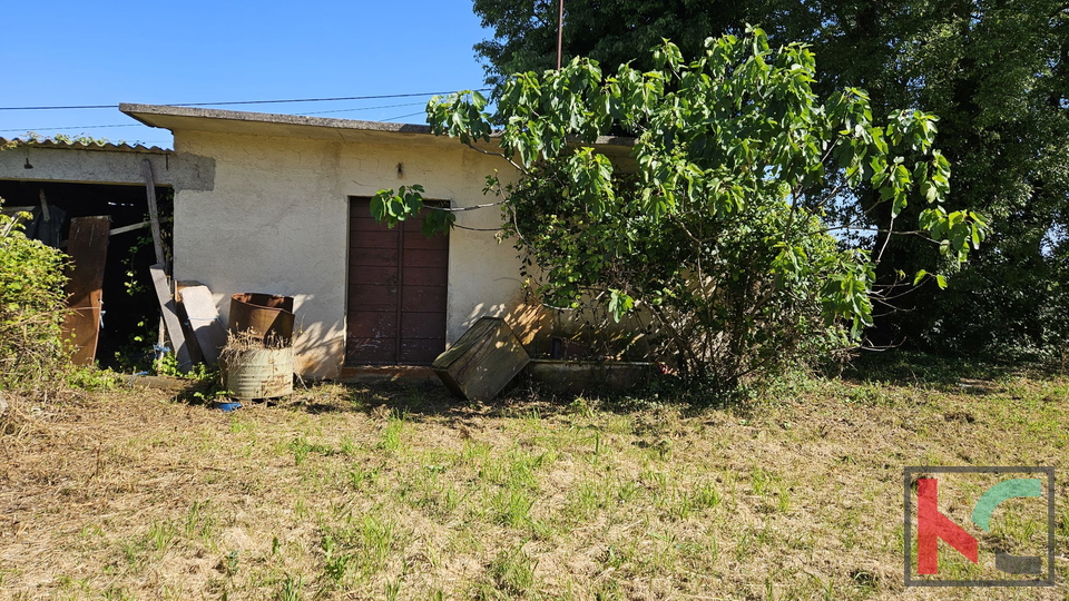 Barban, vecchia casa da ristrutturare con ampio giardino di 1784m2 #vendita