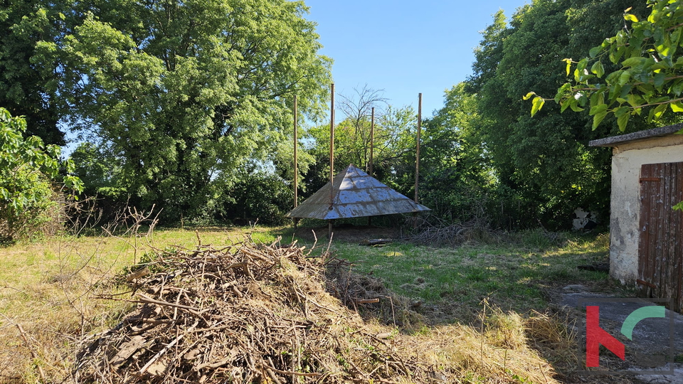 Barban, vecchia casa da ristrutturare con ampio giardino di 1784m2 #vendita