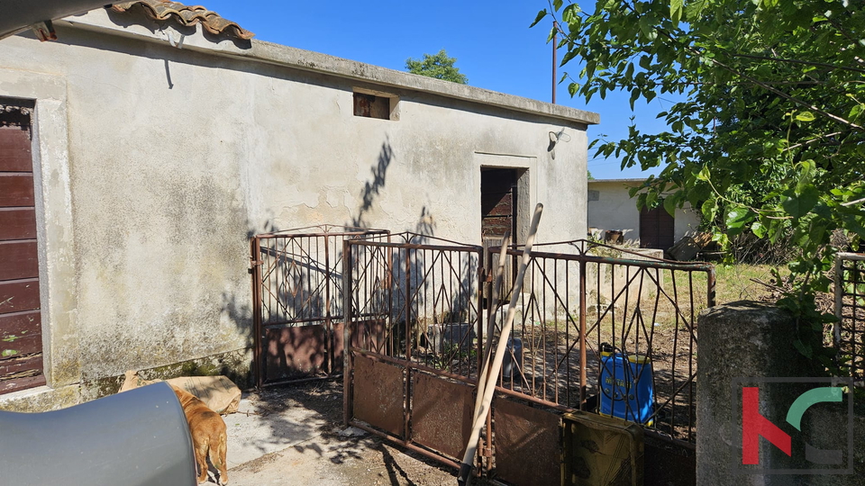 Barban, vecchia casa da ristrutturare con ampio giardino di 1784m2 #vendita