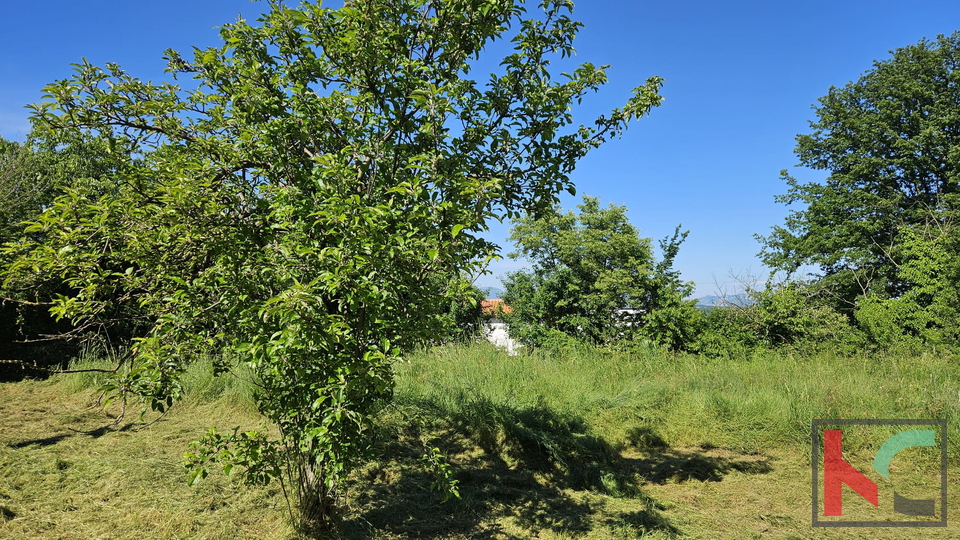 Barban, stara hiša za obnovo z velikim vrtom 1784m2 #prodaja