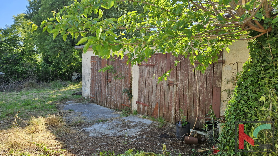 Barban, vecchia casa da ristrutturare con ampio giardino di 1784m2 #vendita