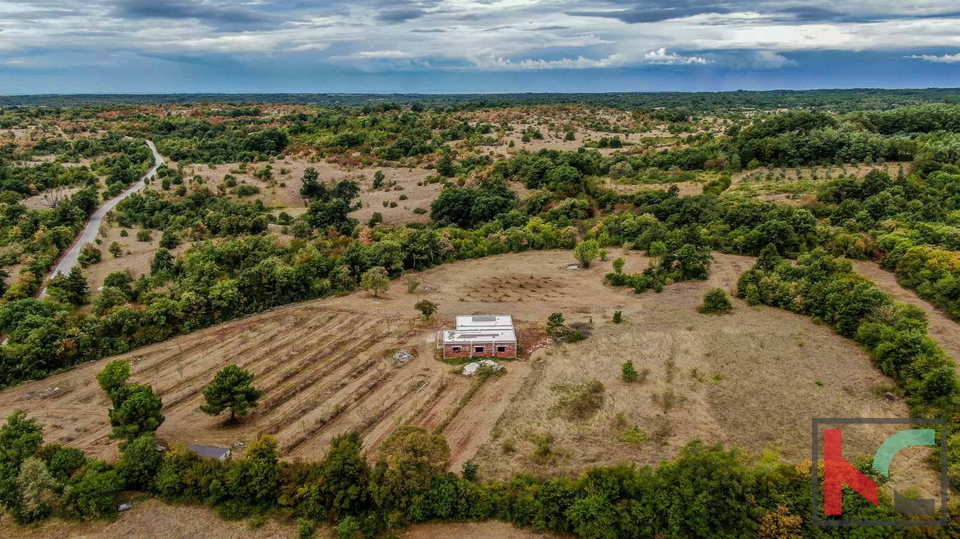 Istra, Barban, posest z rohbau hišo in gradbenim dovoljenjem na zemljišču 14050m2 #prodaja