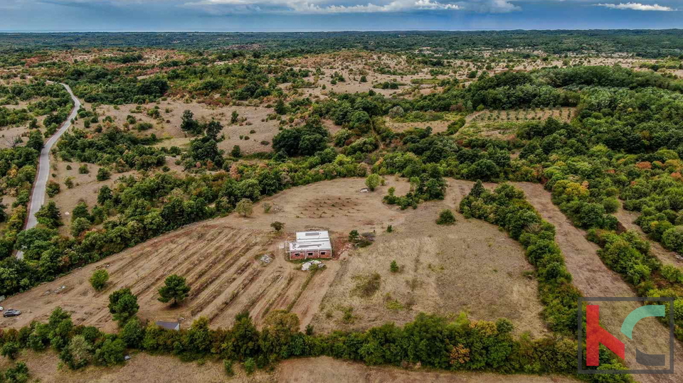 Istra, Barban, posest z rohbau hišo in gradbenim dovoljenjem na zemljišču 14050m2 #prodaja