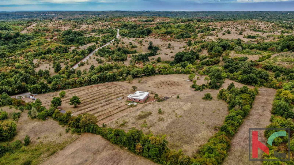 Istra, Barban, posest z rohbau hišo in gradbenim dovoljenjem na zemljišču 14050m2 #prodaja