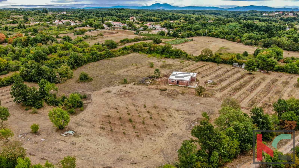 Istra, Barban, posest z rohbau hišo in gradbenim dovoljenjem na zemljišču 14050m2 #prodaja