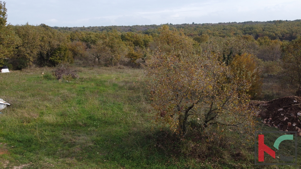 Istra, Vodnjan, gradbeno zemljišče 1002m2, #prodaja