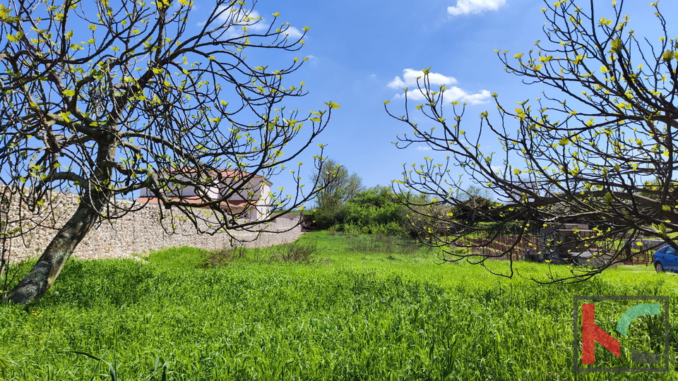 Zemljišče, 1329 m2, Prodaja, Barban