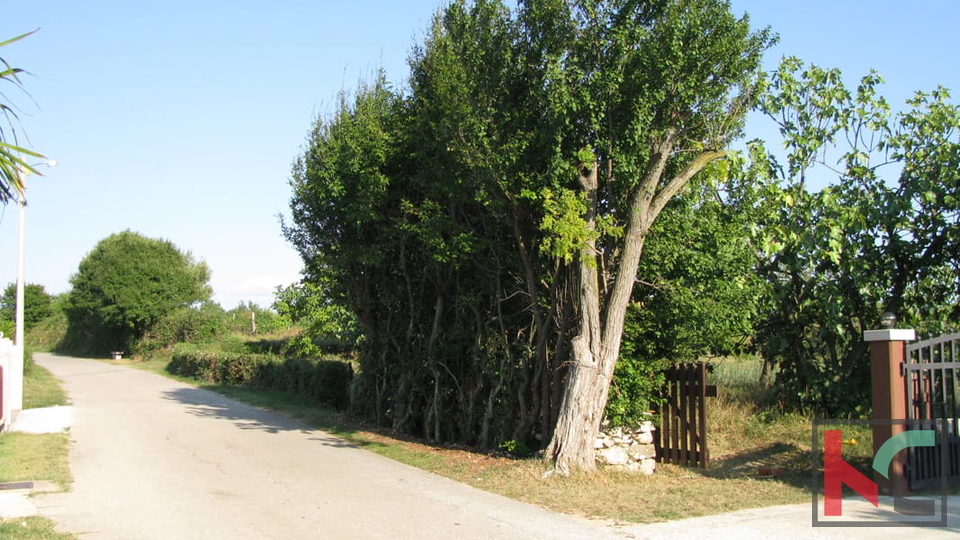 Zemljišče, 1329 m2, Prodaja, Barban