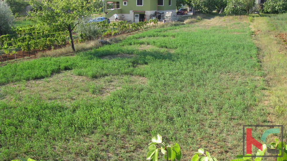 Istra, Barban, zemljište 1329m2, idealno za obiteljsku kuću ili kuću za odmor, #prodaja