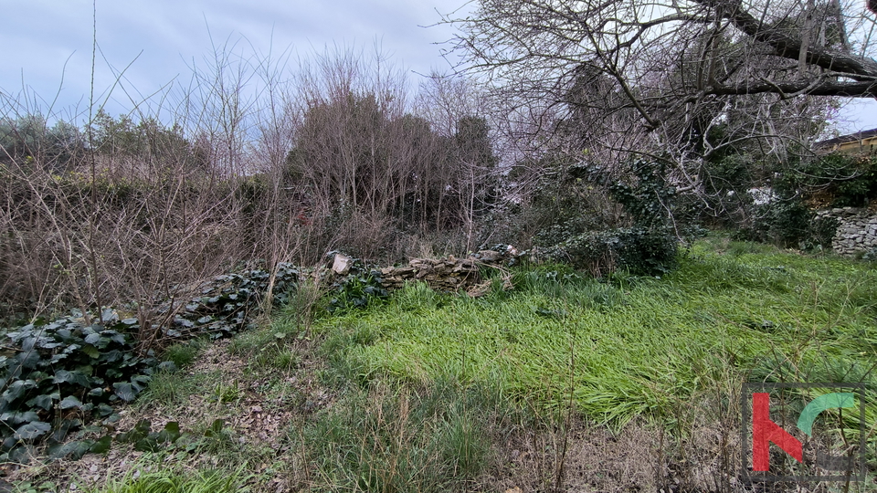 LIŽNJAN, DINTORNI, CASA IN PIETRA CON GIARDINO