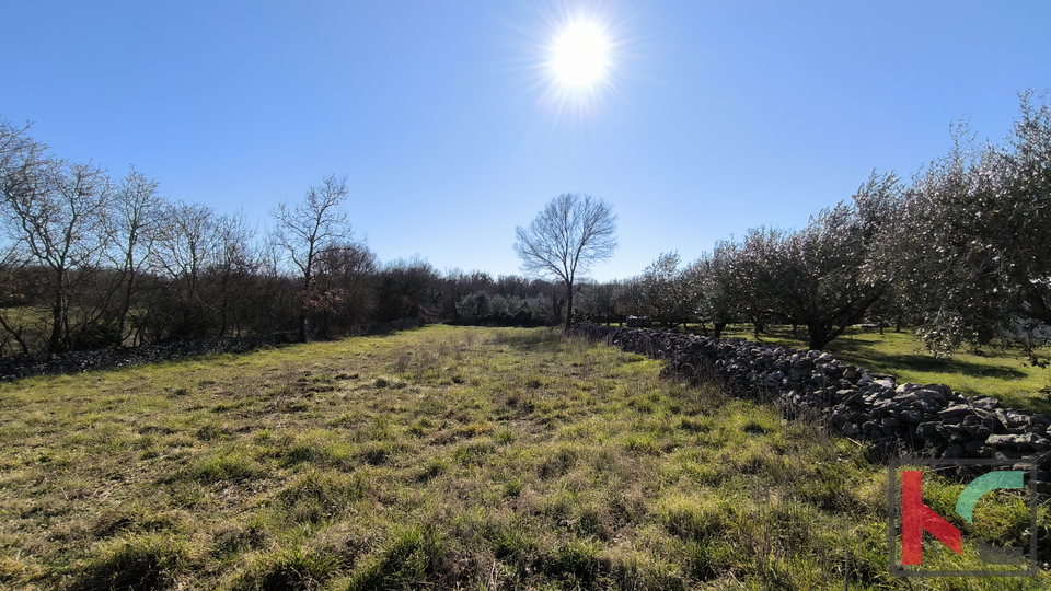 KRNICA, OKOLICA, GRAĐEVINSKO ZEMLJIŠTE 1336m2 #PRODAJA