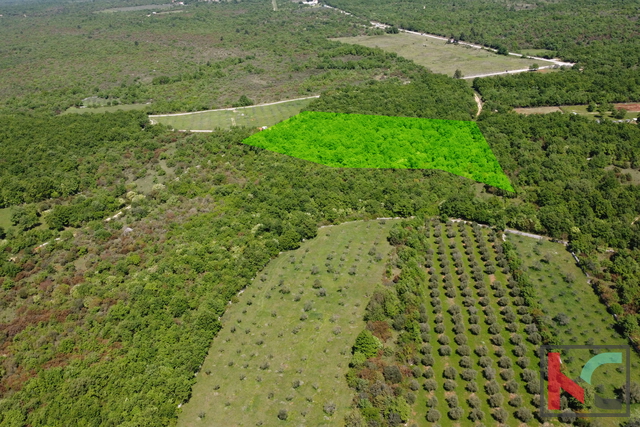 ISTRA - VODNJAN,  ZEMLJIŠTE  18.775m2, #PRODAJA