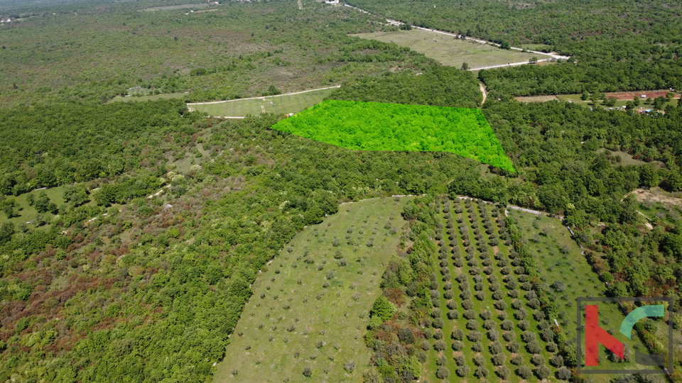ISTRA - VODNJAN,  ZEMLJIŠTE  18.775m2, #PRODAJA