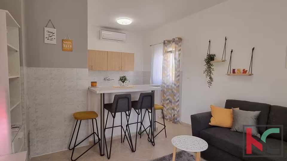 ISTRA&comma; BARBAN - SAMOSTOJE&Cacute;A KU&Cacute;A S DVA STANA I BAZENOM&comma; &num;PRODAJA