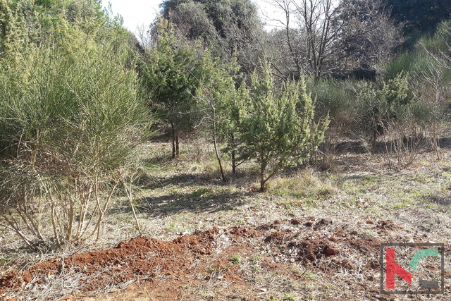 Ližnjan, Baugrundstück 2200m2 mit Meerblick