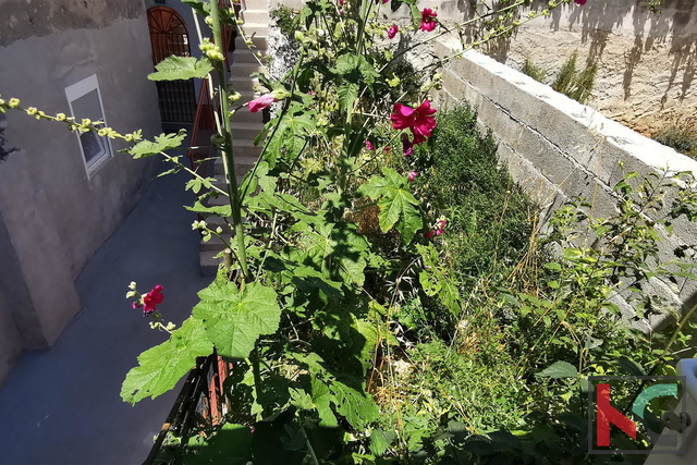 Pula, Šijana casa ristrutturata con tre appartamenti