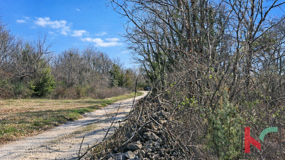 ISTRA&comma; MAR&Ccaron;ANA&comma; TERRENO AGRICOLO &num;VENDITA