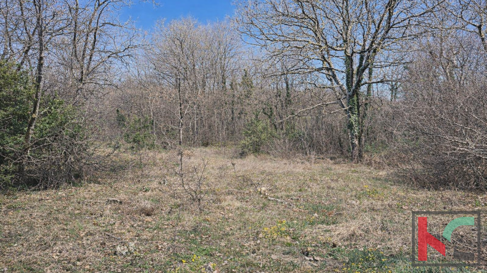 ISTRA&comma; MAR&Ccaron;ANA&comma; TERRENO AGRICOLO &num;VENDITA