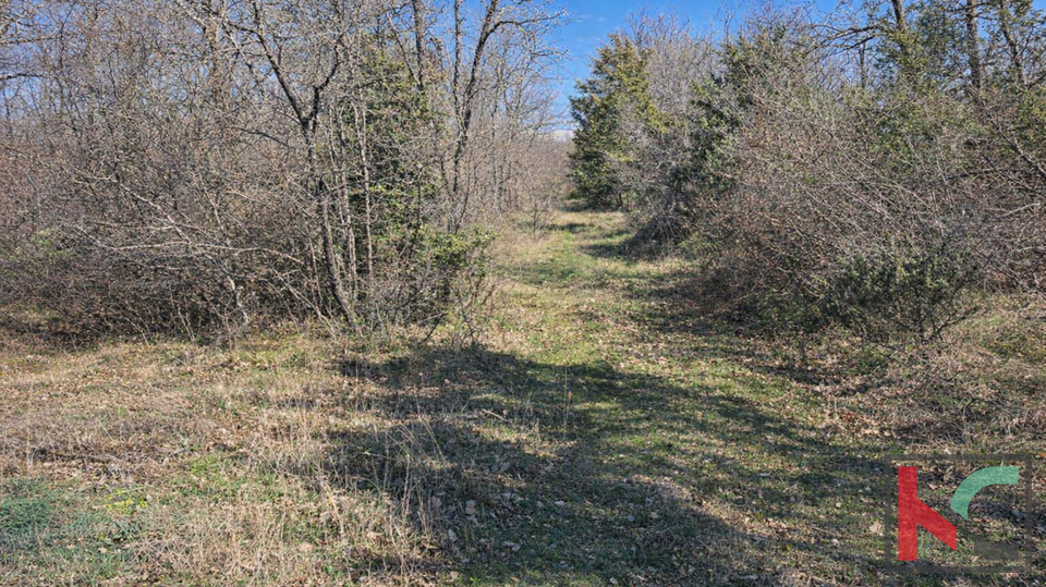 ISTRA&comma; MAR&Ccaron;ANA&comma; TERRENO AGRICOLO &num;VENDITA