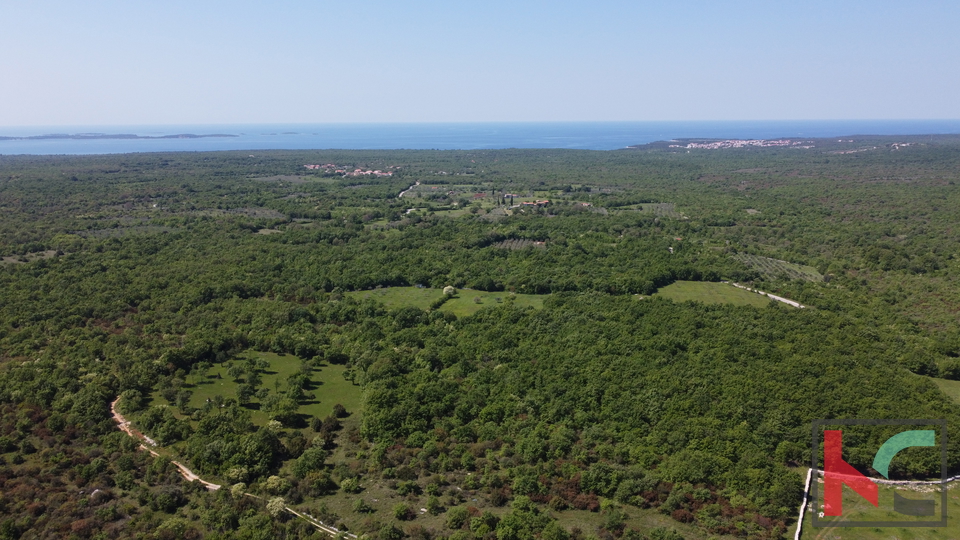 ISTRA - VODNJAN,  ZEMLJIŠTE  18.775m2, #PRODAJA