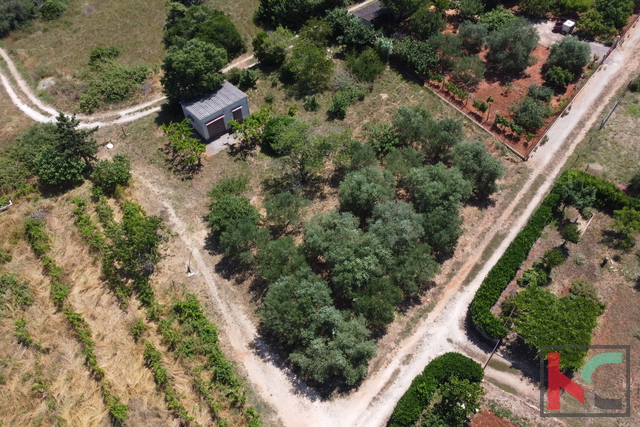House, 24 m2, For Sale, Pula