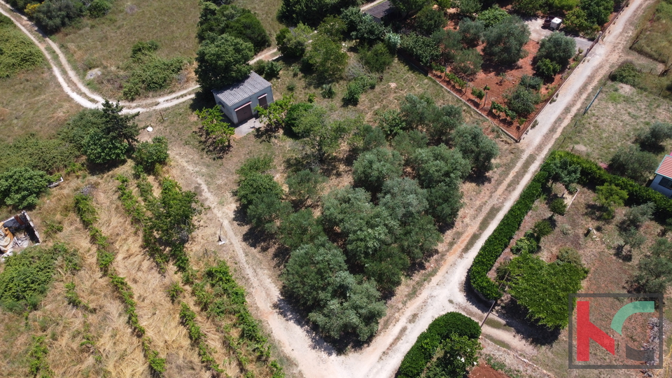 ISTRA, PULA, LEGALIZIRANA VIKENDICA NA MASLINIKU