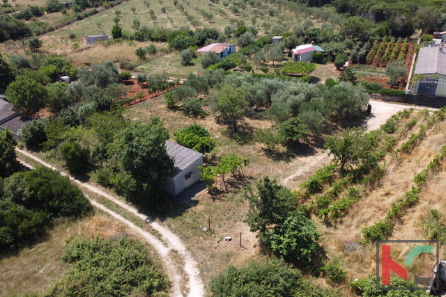 House, 24 m2, For Sale, Pula