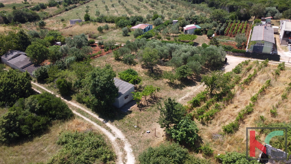 ISTRA, PULA, LEGALIZIRANA VIKENDICA NA MASLINIKU
