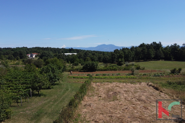 Grundstück, 1393 m2, Verkauf, Žminj