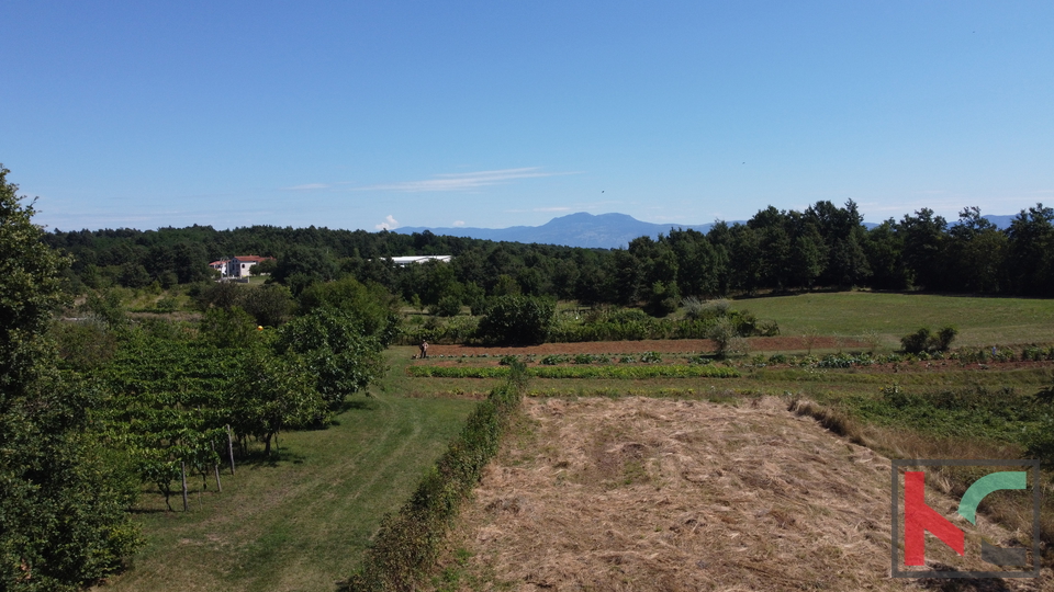 ISTRA, ŽMINJ, ZEMLJIŠTE SA OTVORENIM POGLEDOM NA UČKU # EKSKLUZIVNA PRODAJA