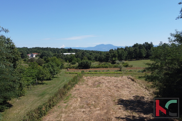 Grundstück, 1393 m2, Verkauf, Žminj