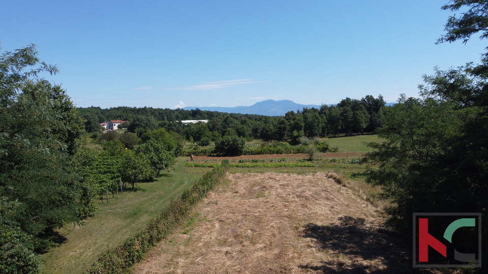 ISTRA, ŽMINJ, ZEMLJIŠTE SA OTVORENIM POGLEDOM NA UČKU # EKSKLUZIVNA PRODAJA