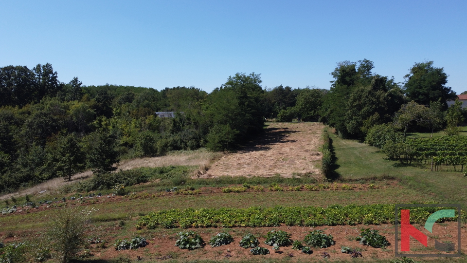 ISTRA, ŽMINJ, ZEMLJIŠTE SA OTVORENIM POGLEDOM NA UČKU # EKSKLUZIVNA PRODAJA