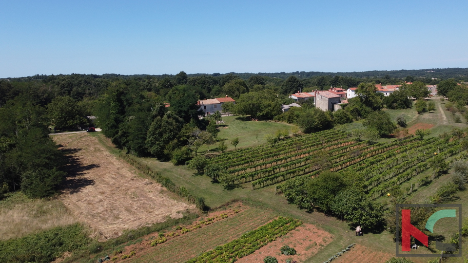 ISTRA, ŽMINJ, ZEMLJIŠTE SA OTVORENIM POGLEDOM NA UČKU # EKSKLUZIVNA PRODAJA