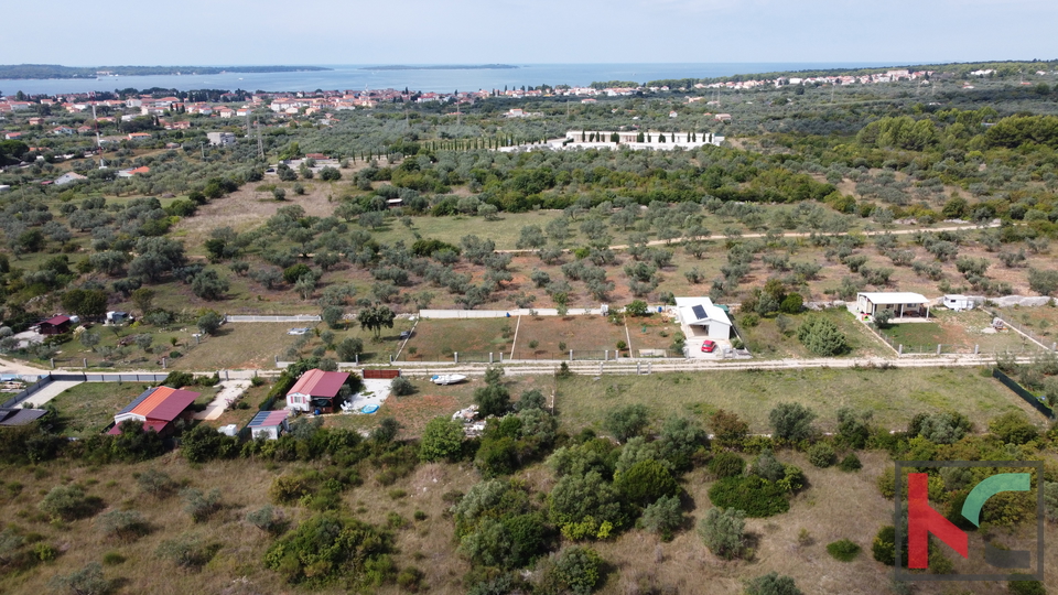 ISTRA&comma; FA&Zcaron;ANA&comma; POLJOPRIVREDNO ZEMLJI&Scaron;TE SA MASLINAMA&comma; &num;PRODAJA