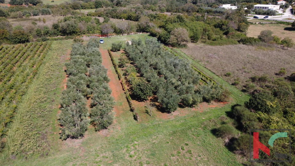 ISTRA, MARČANA, ZEMLJIŠTE 2507M2 KOMBINIRANO GRAĐEVISNKO SA NEURBANIZIRANIM, #PRODAJA