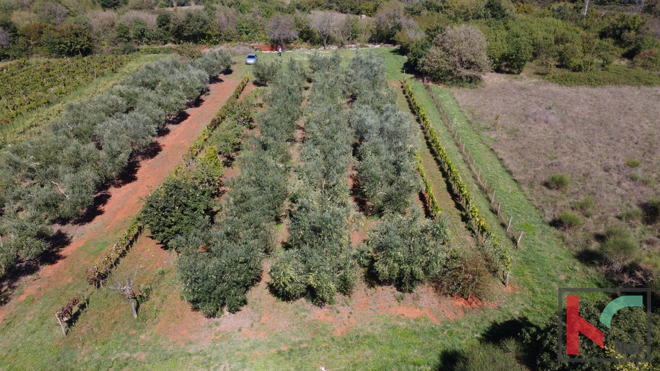 ISTRA, MARČANA, ZEMLJIŠTE 2507M2 KOMBINIRANO GRAĐEVISNKO SA NEURBANIZIRANIM, #PRODAJA