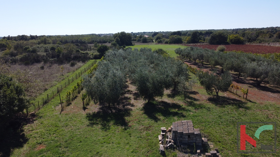 ISTRA, MARČANA, ZEMLJIŠTE 2507M2 KOMBINIRANO GRAĐEVISNKO SA NEURBANIZIRANIM, #PRODAJA