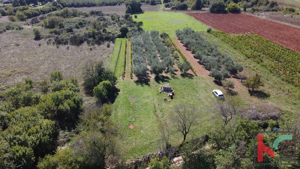 ISTRA, MARČANA, ZEMLJIŠTE 2507M2 KOMBINIRANO GRAĐEVISNKO SA NEURBANIZIRANIM, #PRODAJA