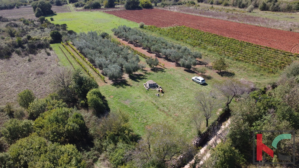 ISTRA, MARČANA, ZEMLJIŠTE 2507M2 KOMBINIRANO GRAĐEVISNKO SA NEURBANIZIRANIM, #PRODAJA